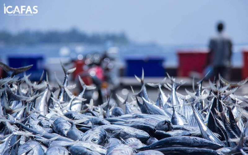 EU và Việt Nam thúc đẩy hợp tác về kinh tế biển